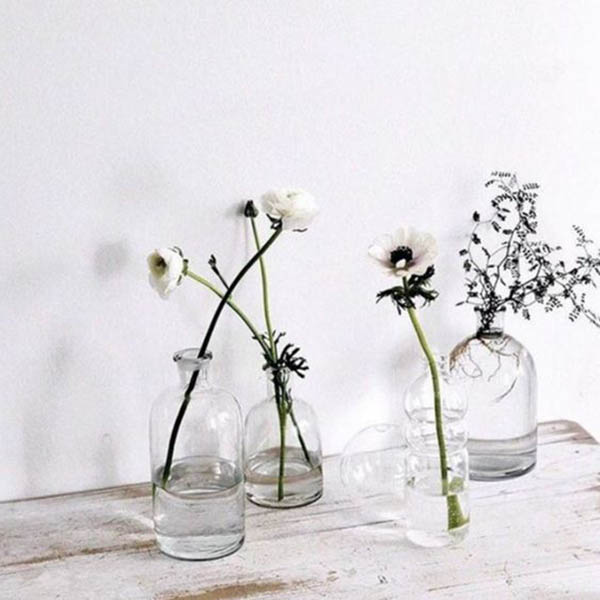 flowers in jar